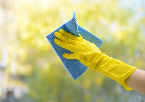 Deep cleaning equipment used for pet stain removal on upholstery