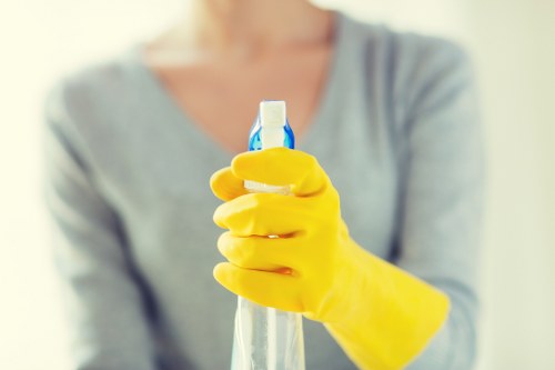 Local cleaning specialist treating pet odour in a Marylebone apartment