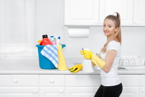 Detailed move in clean for a Marylebone kitchen and bathroom