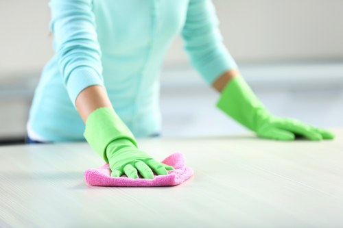 Local cleaner working in a Marylebone home kitchen