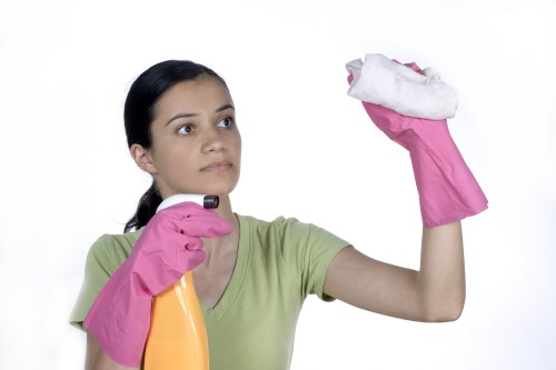 Local cleaning team working in a Marylebone apartment building