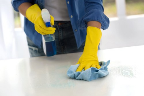 Blocked gutters and debris removal for a Marylebone property