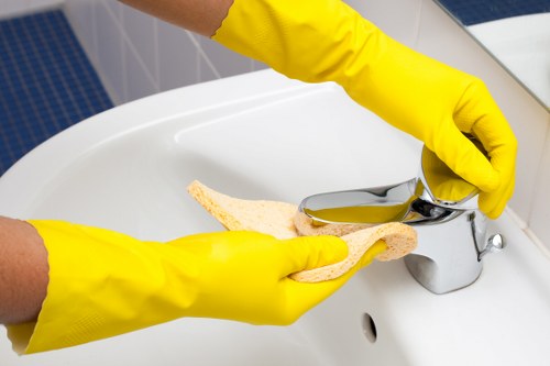 Local gutter cleaning service handling access challenges in Marylebone